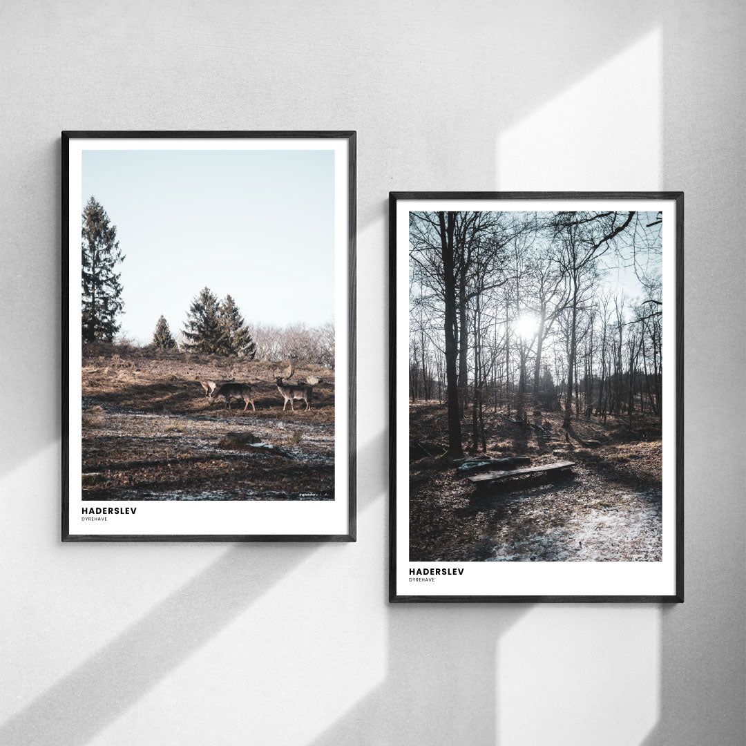 Plakatsæt: Vinterro