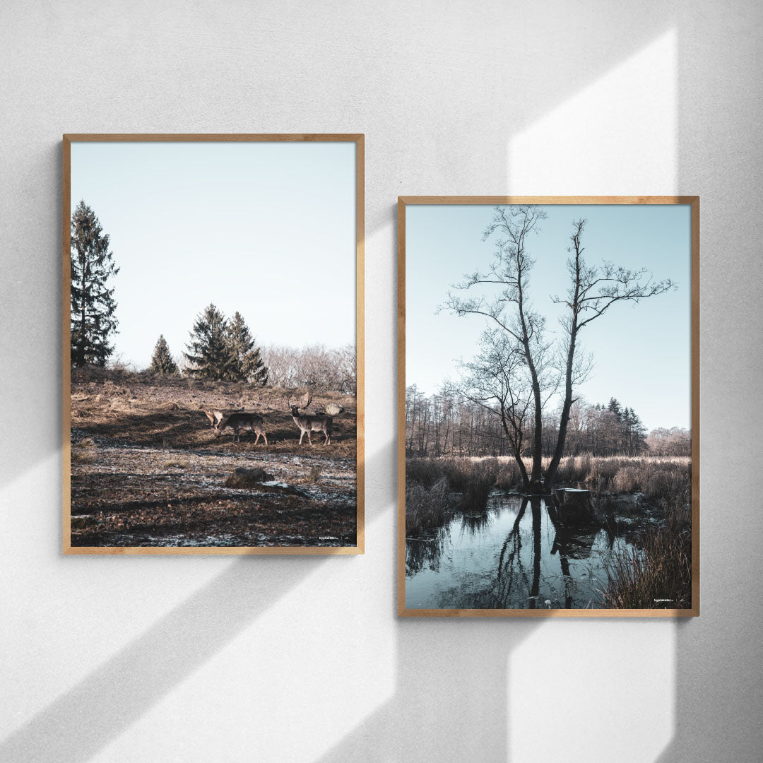 Plakatsæt: Vinterlandskab