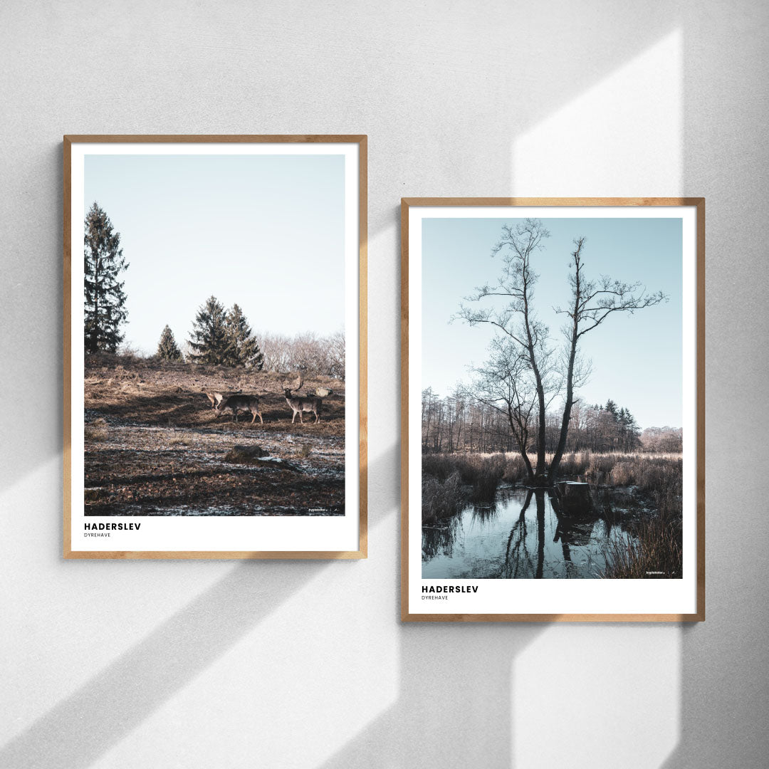 Plakatsæt: Vinterlandskab