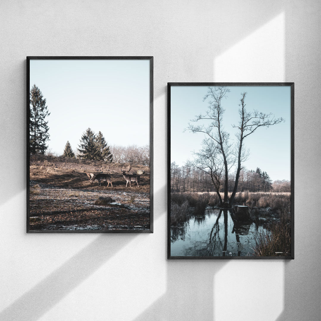 Plakatsæt: Vinterlandskab