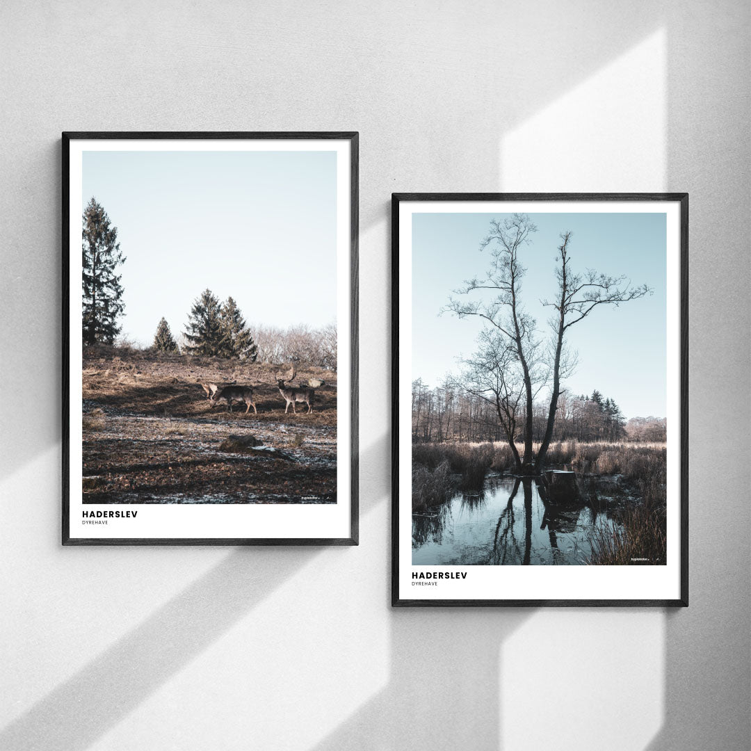 Plakatsæt: Vinterlandskab