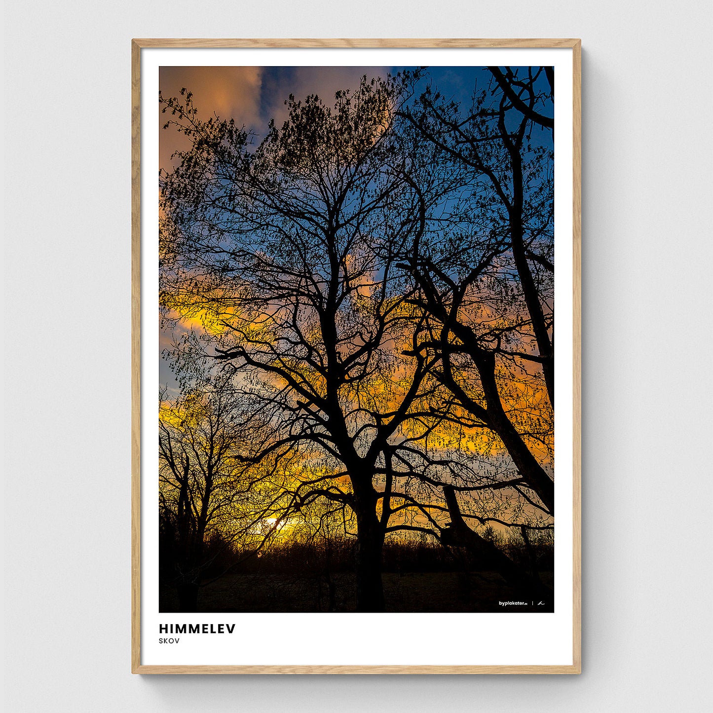 Solnedgang i Himmelev Skov