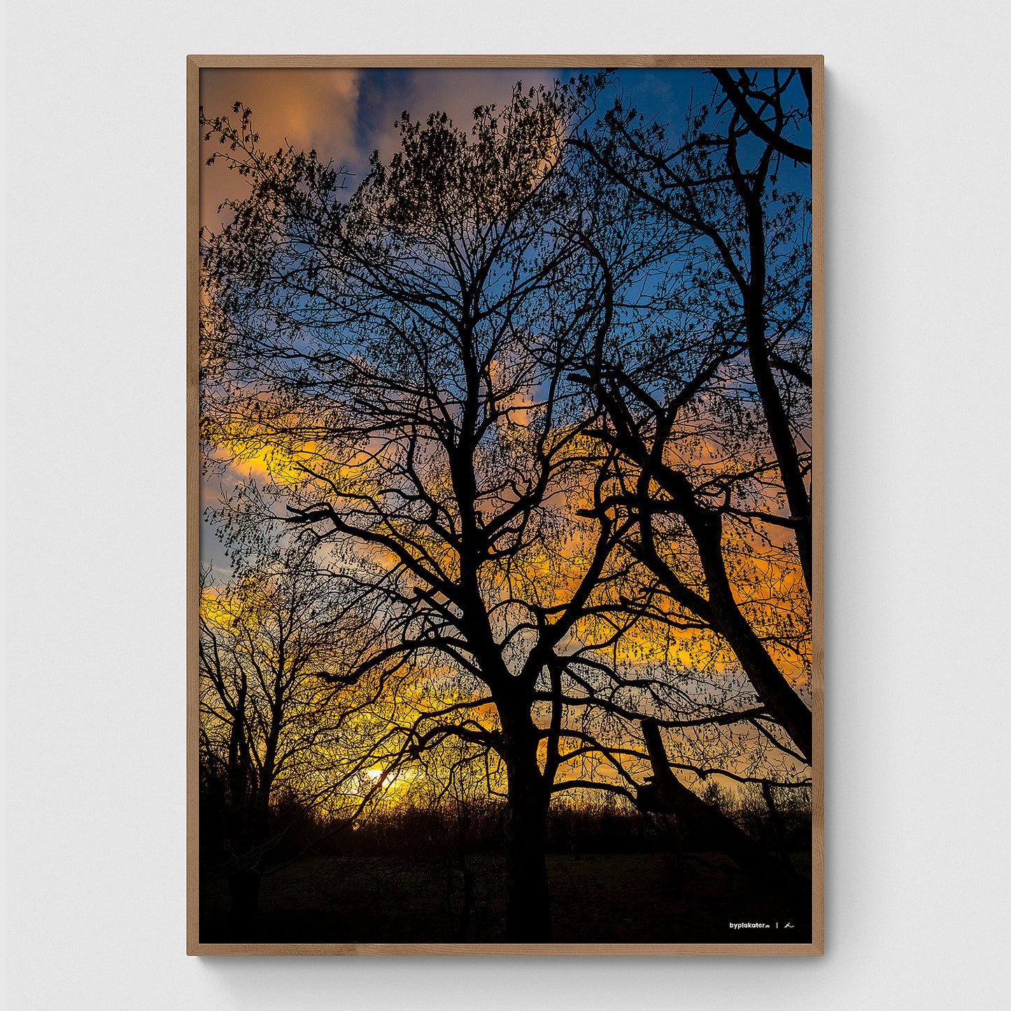 Solnedgang i Himmelev Skov