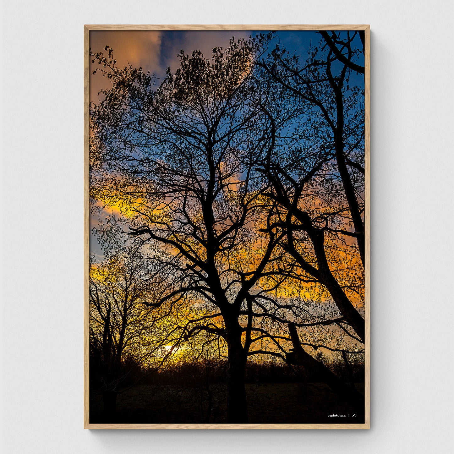 Solnedgang i Himmelev Skov