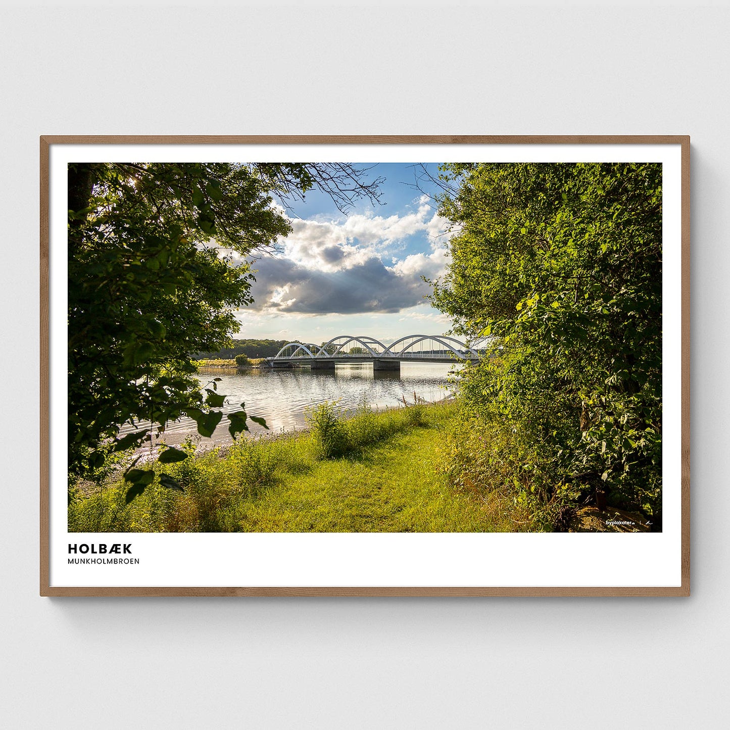 Munkholmbroen gennem træerne I