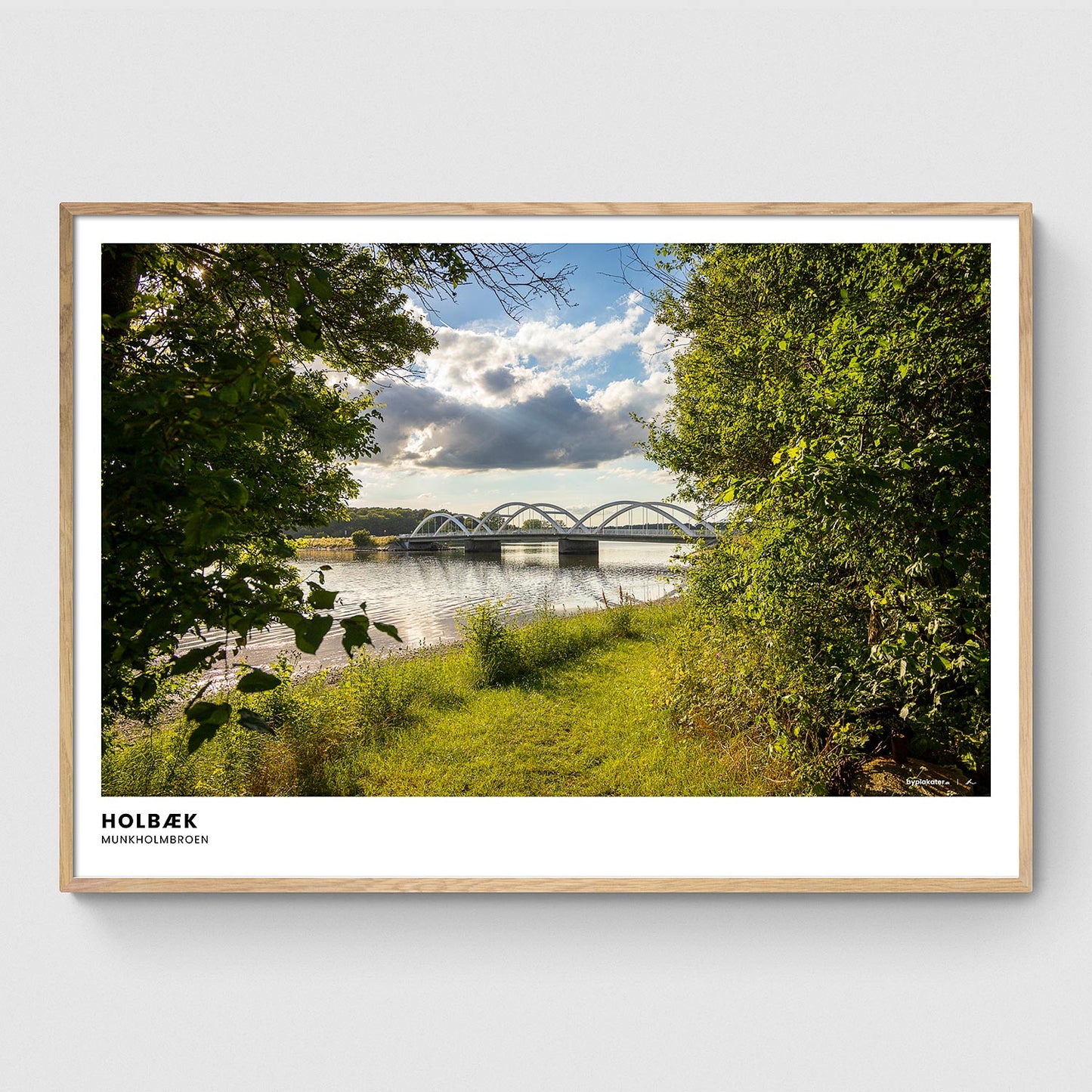 Munkholmbroen gennem træerne I