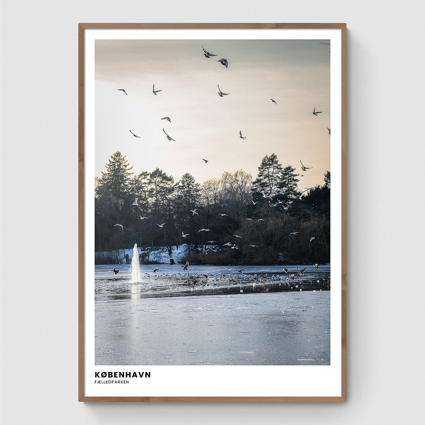 Vinterstemning i Fælledparken