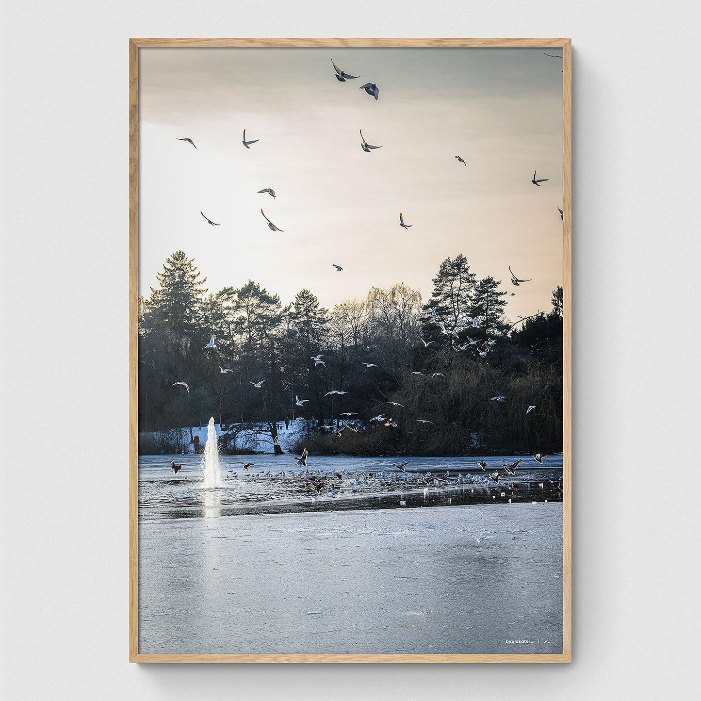 Vinterstemning i Fælledparken