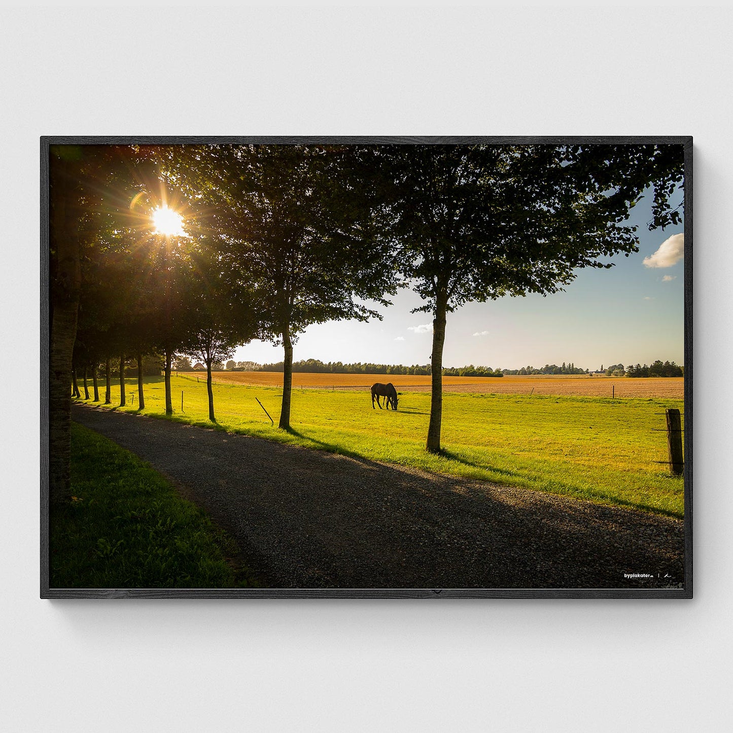 Hest på marken ved Grimshøjvej