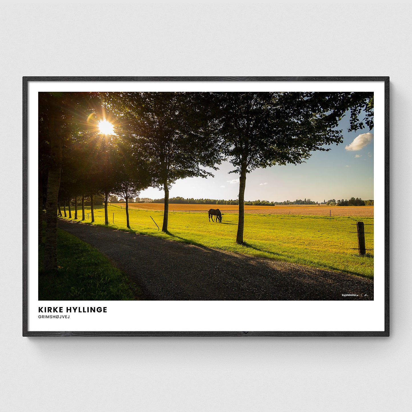 Hest på marken ved Grimshøjvej