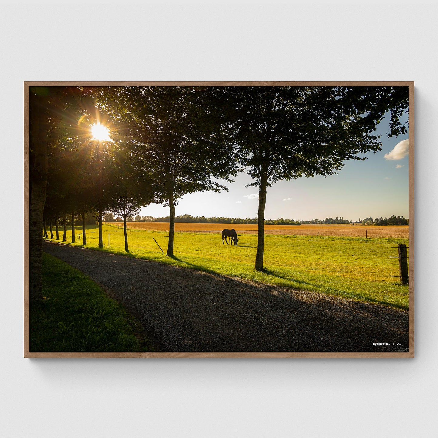 Hest på marken ved Grimshøjvej