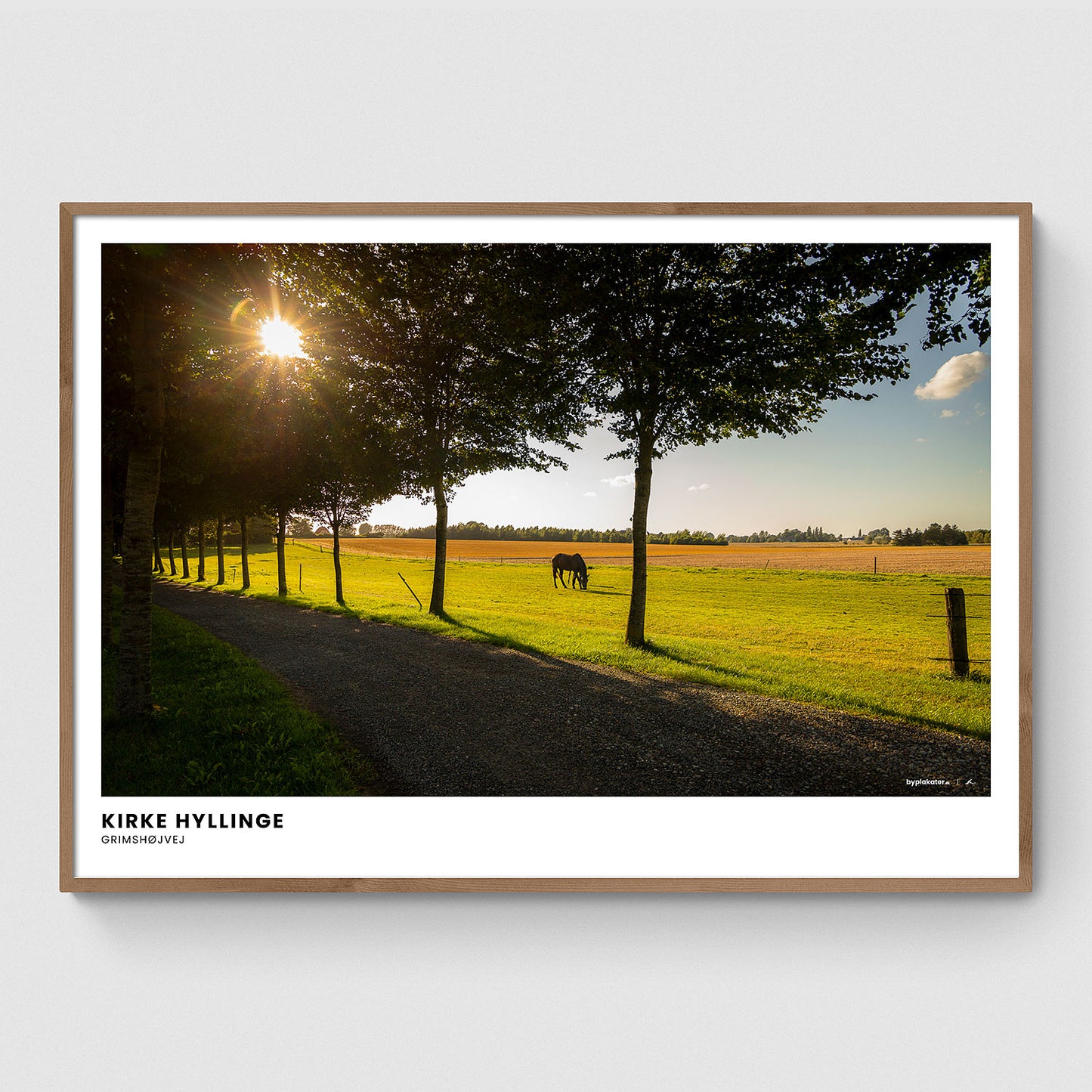 Hest på marken ved Grimshøjvej