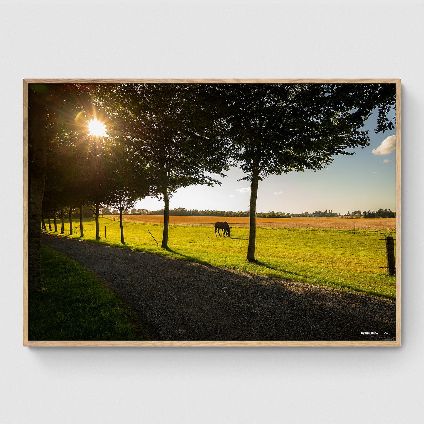 Hest på marken ved Grimshøjvej