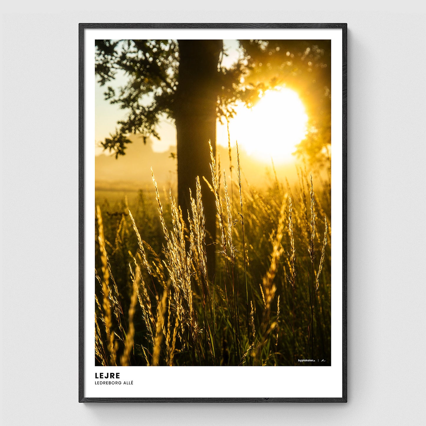 Solopgang langs Ledreborg Allé