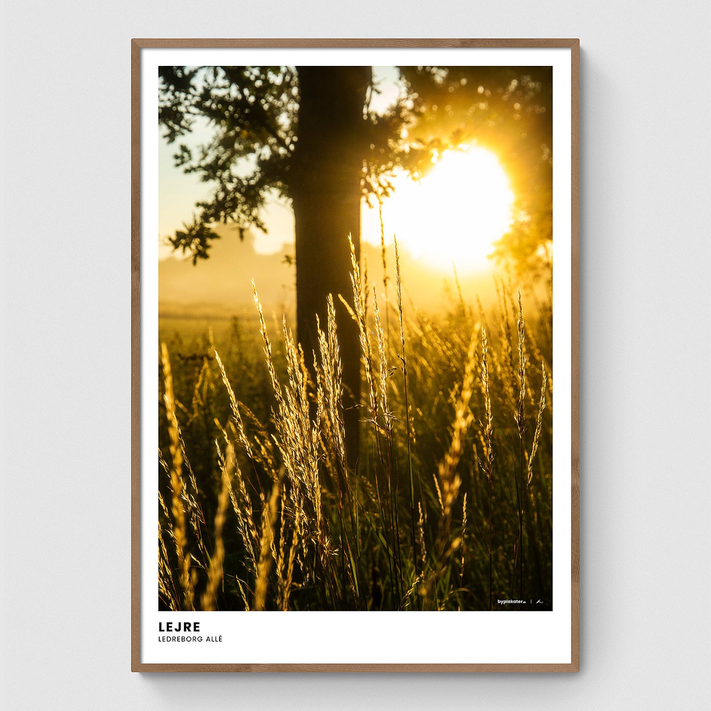 Solopgang langs Ledreborg Allé