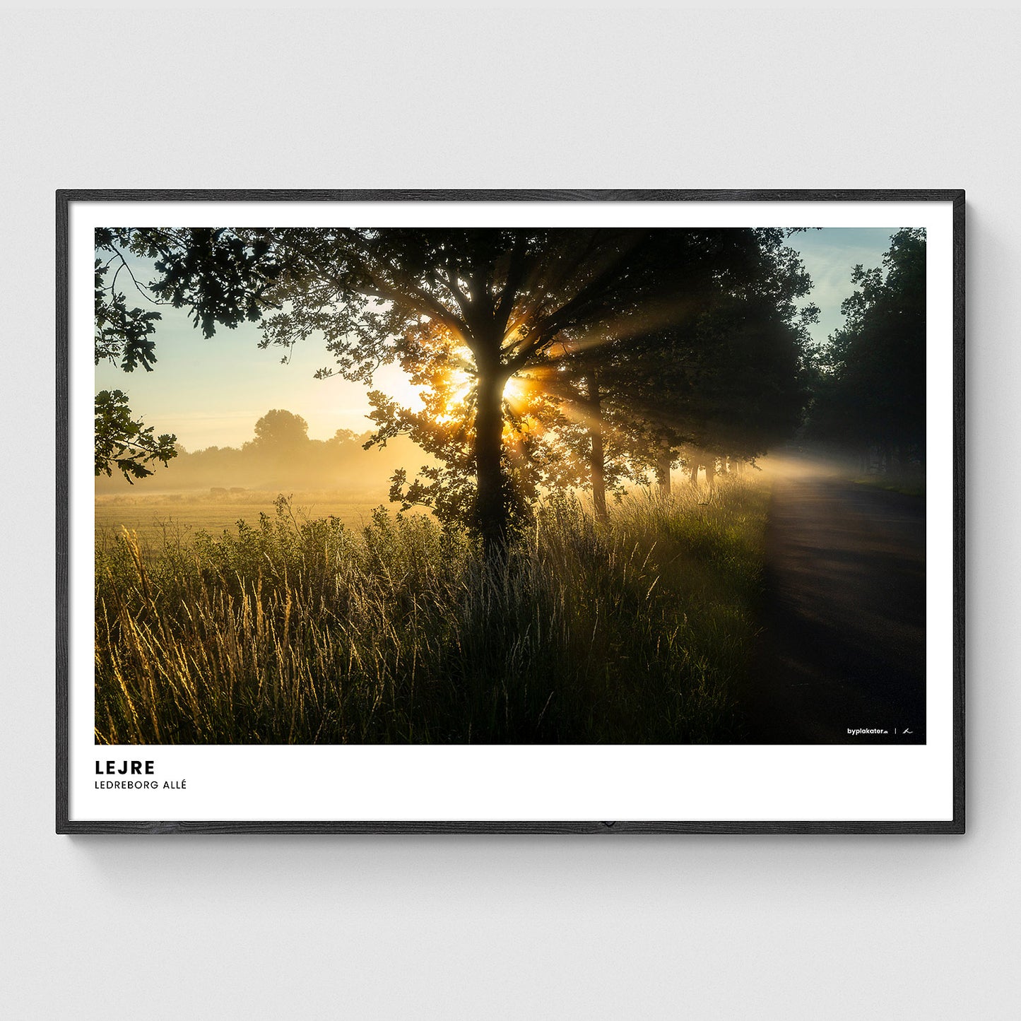 Morgensol ved Ledreborg