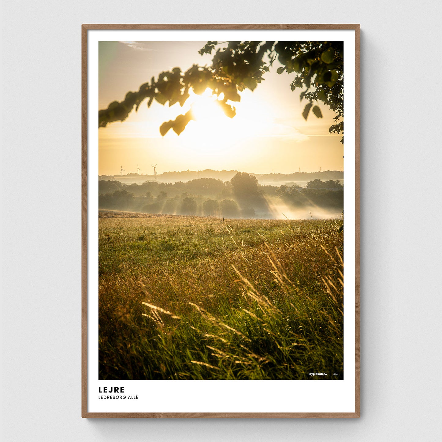 Morgendis over markerne I