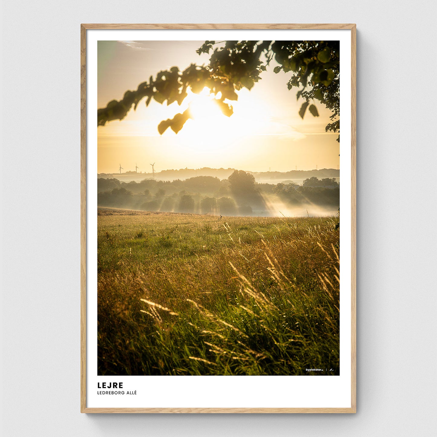 Morgendis over markerne I