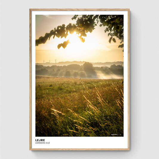 Morgendis over markerne I