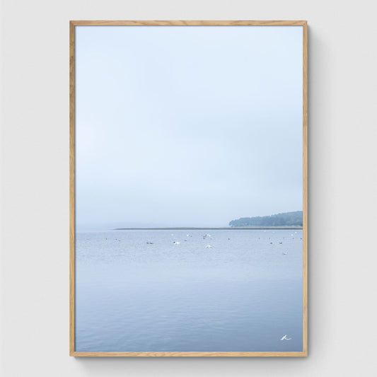Efterår ved Roskilde Fjord I