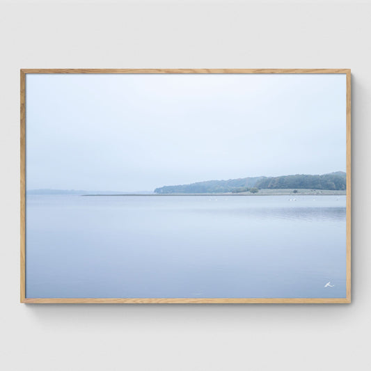 Efterår ved Roskilde Fjord II