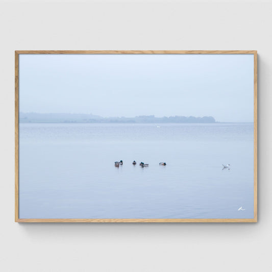 Gå egne veje ved Fjorden