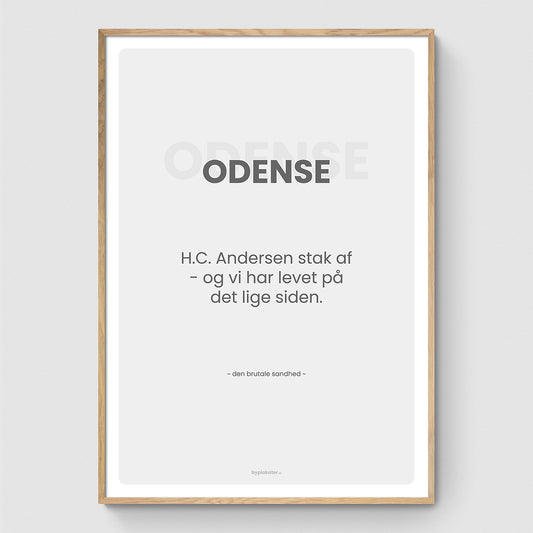 Odense - Den Brutale Sandhed