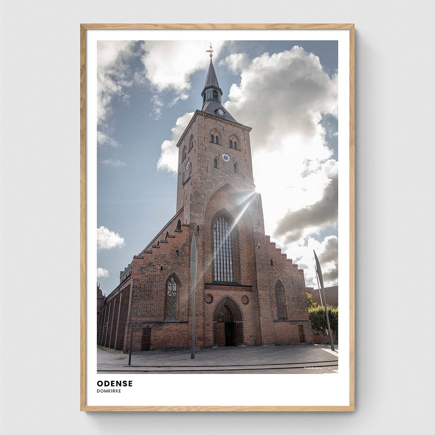 Odense Domkirke