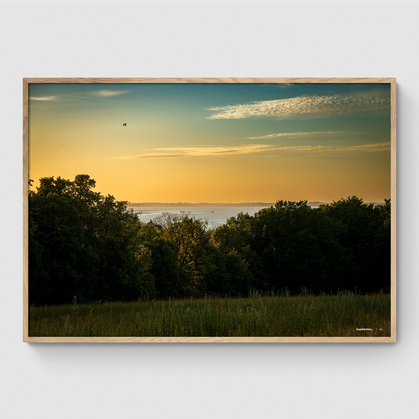 Roskilde Fjord i horisonten