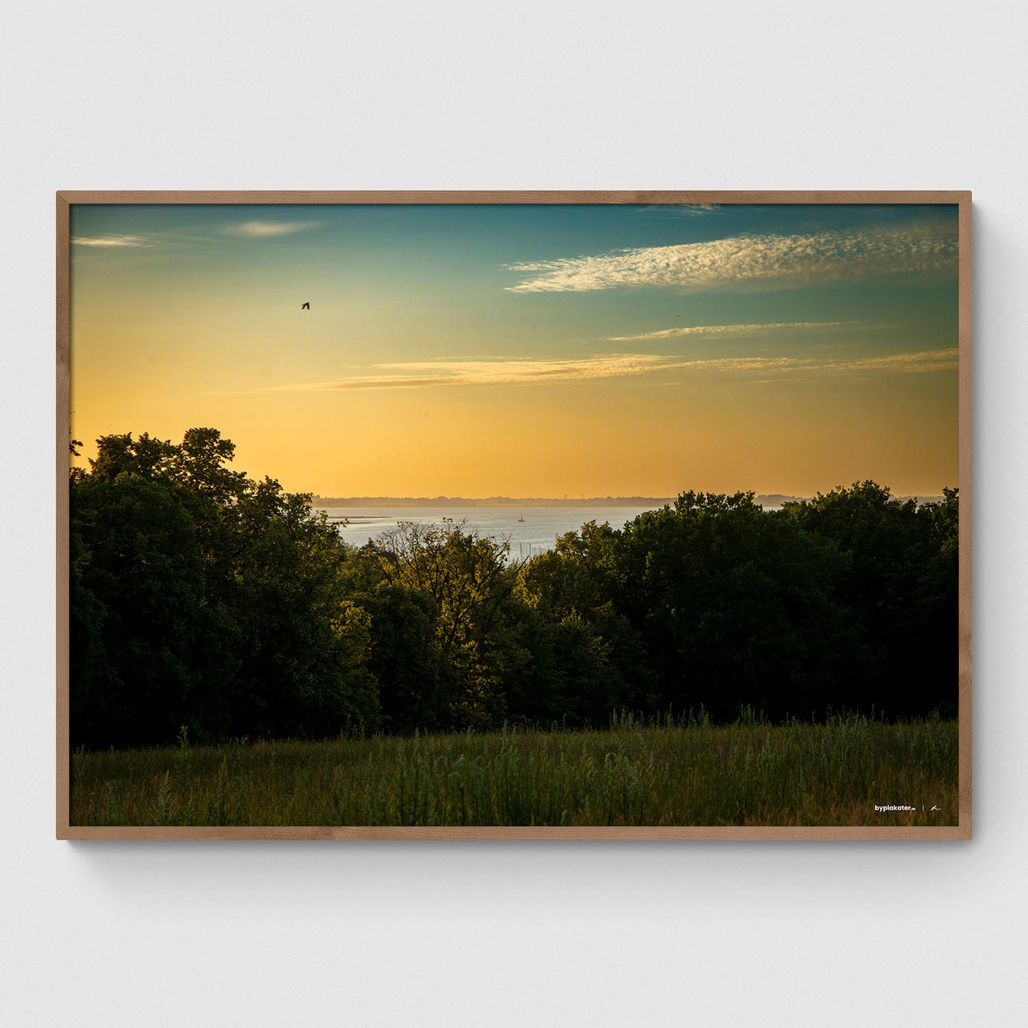Roskilde Fjord i horisonten