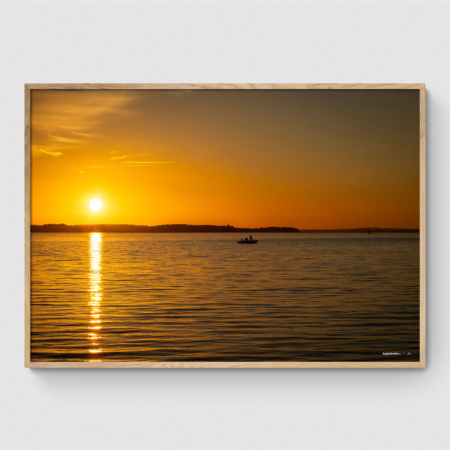 Sejltur i Roskilde Fjord