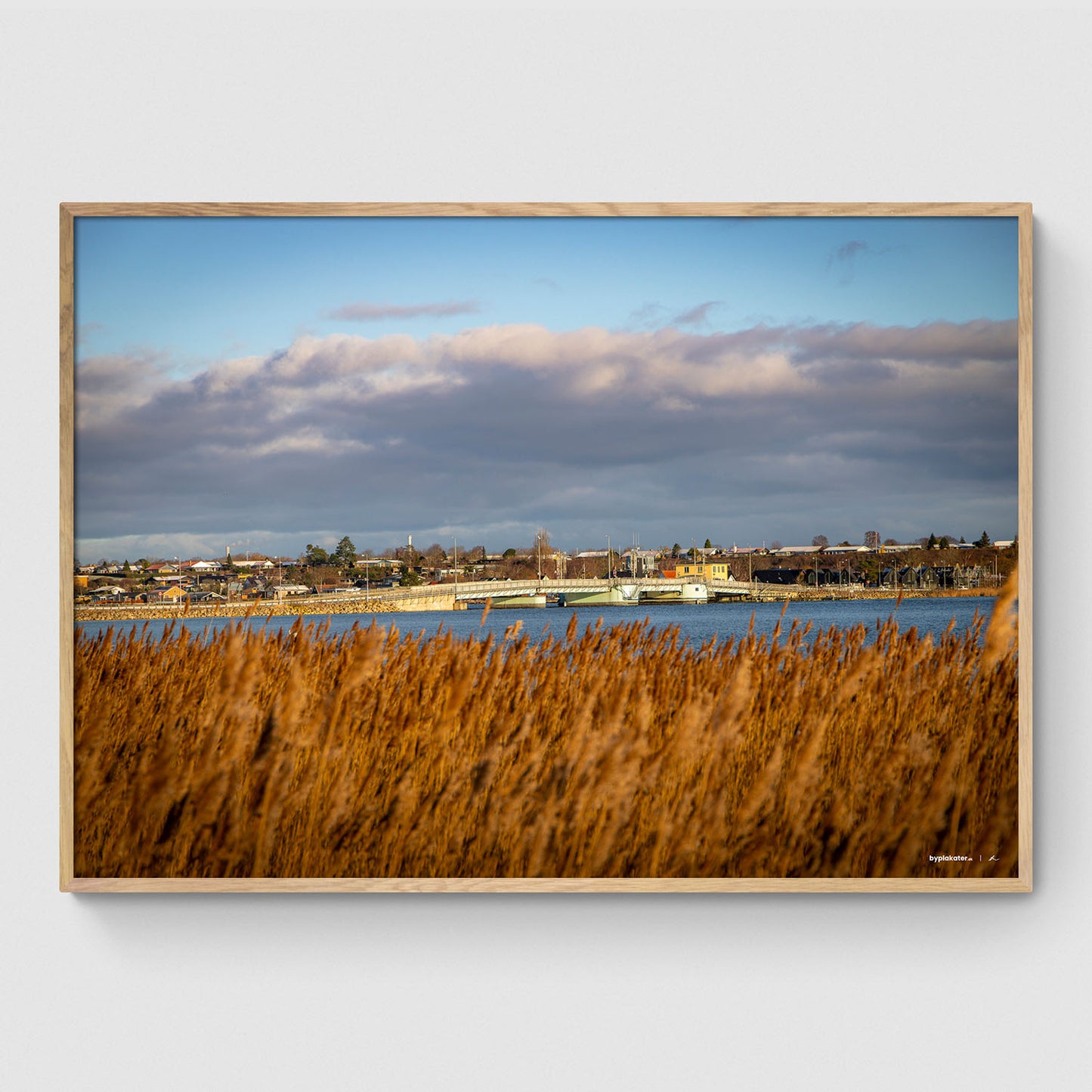 Kronprins Frederiks Bro I