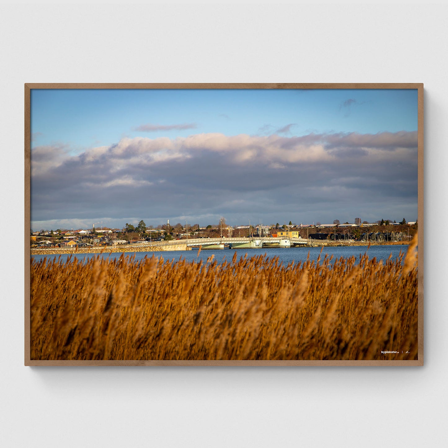 Kronprins Frederiks Bro I