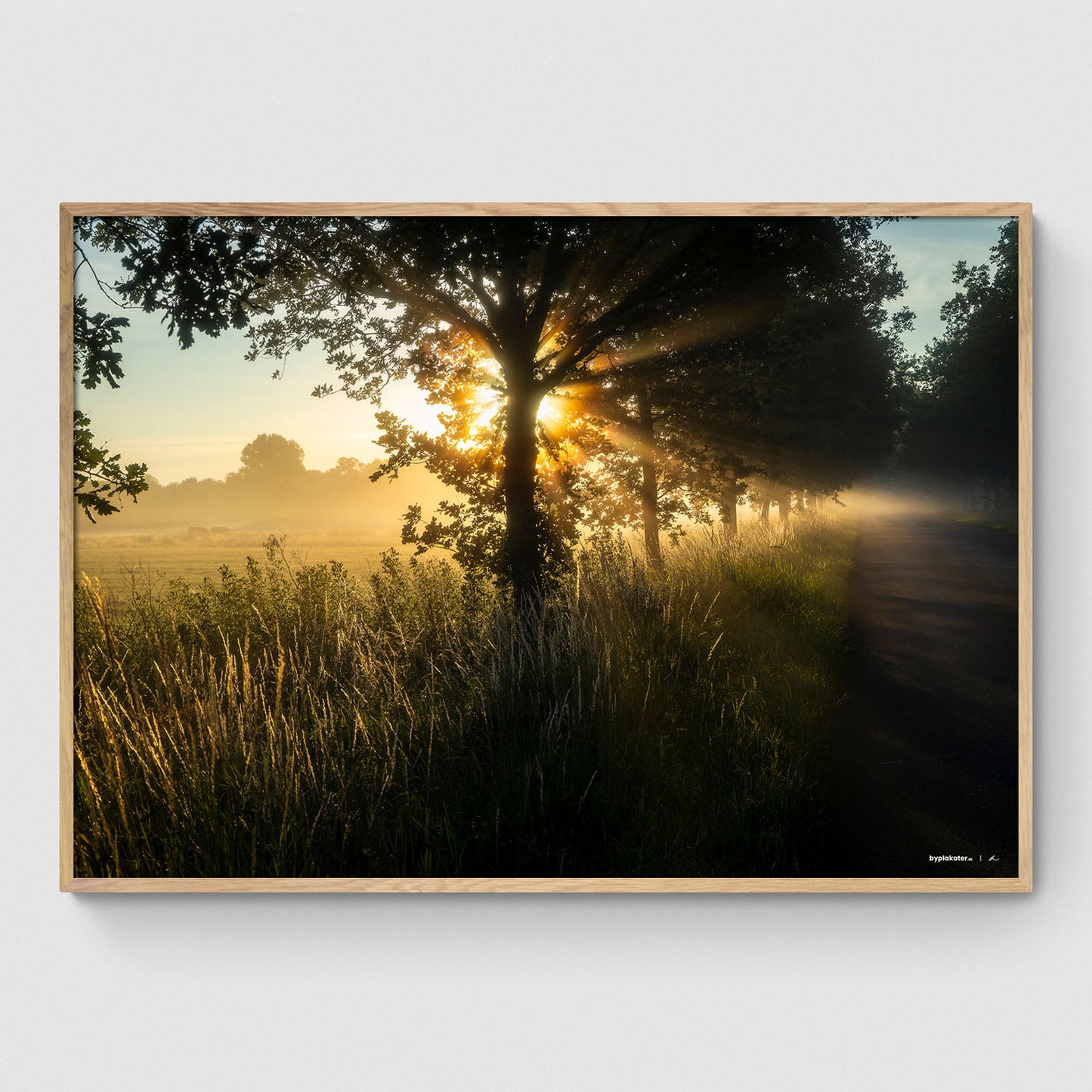 Morgensol ved Ledreborg