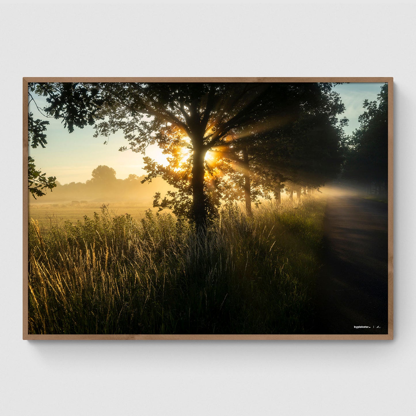 Morgensol ved Ledreborg