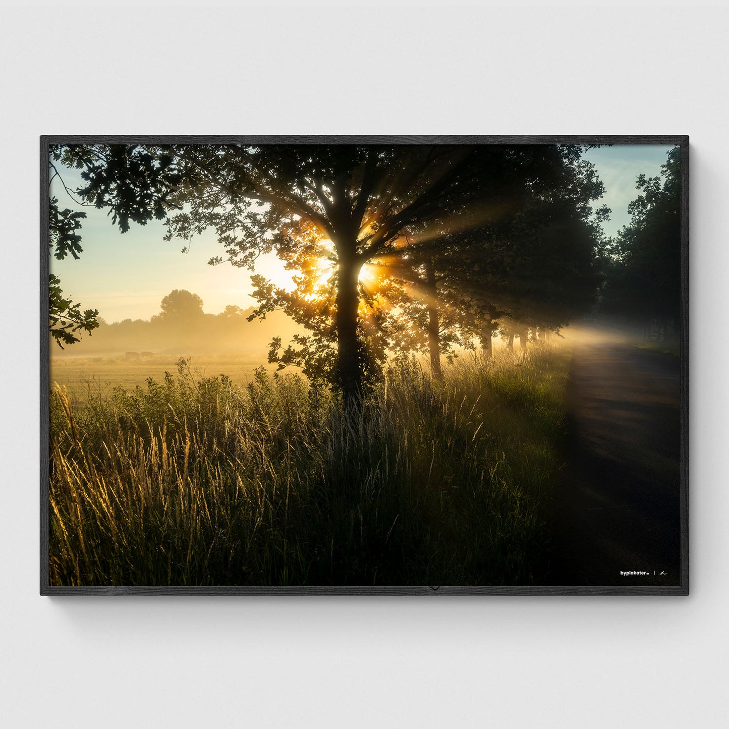 Morgensol ved Ledreborg