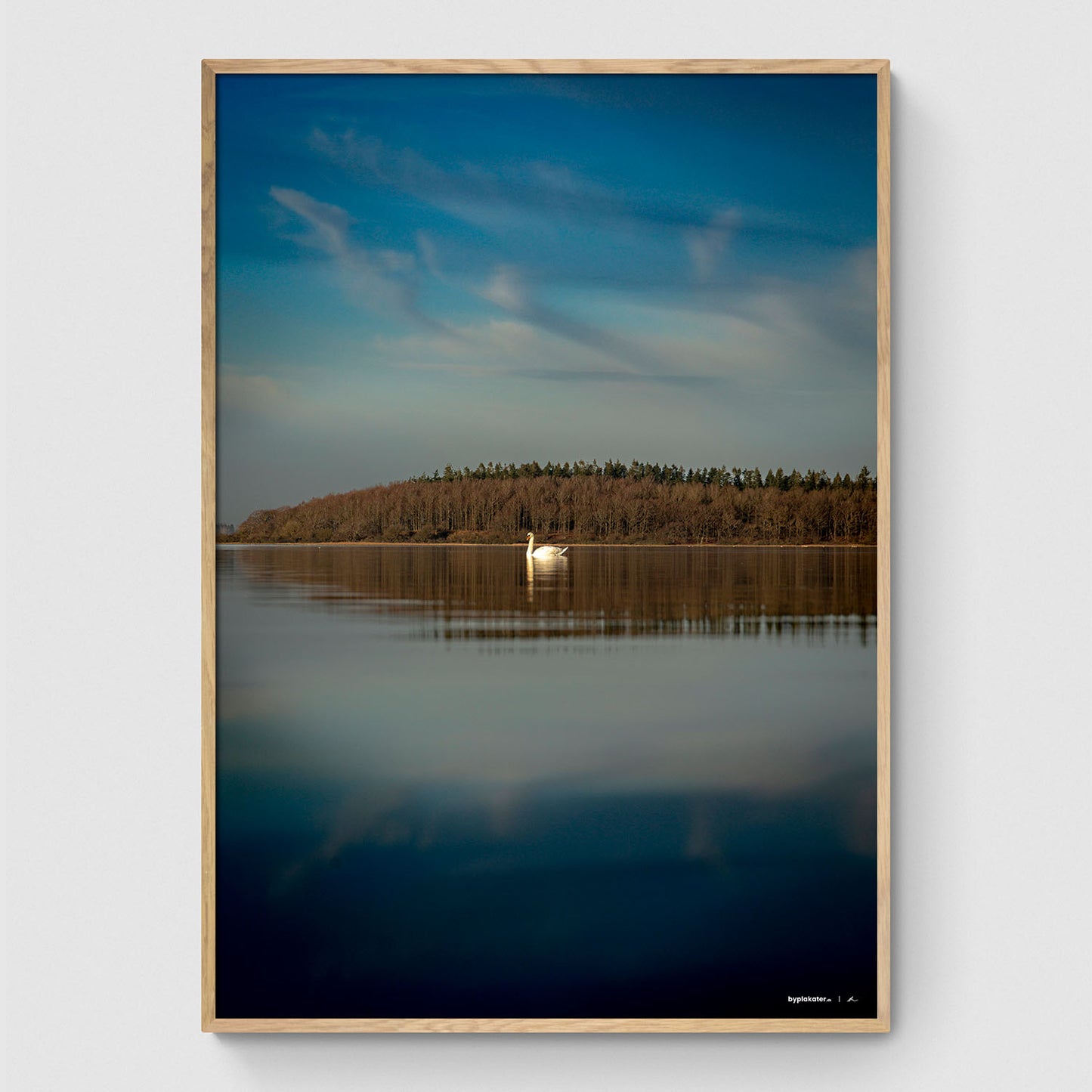 Svane ved Herslev Strand II