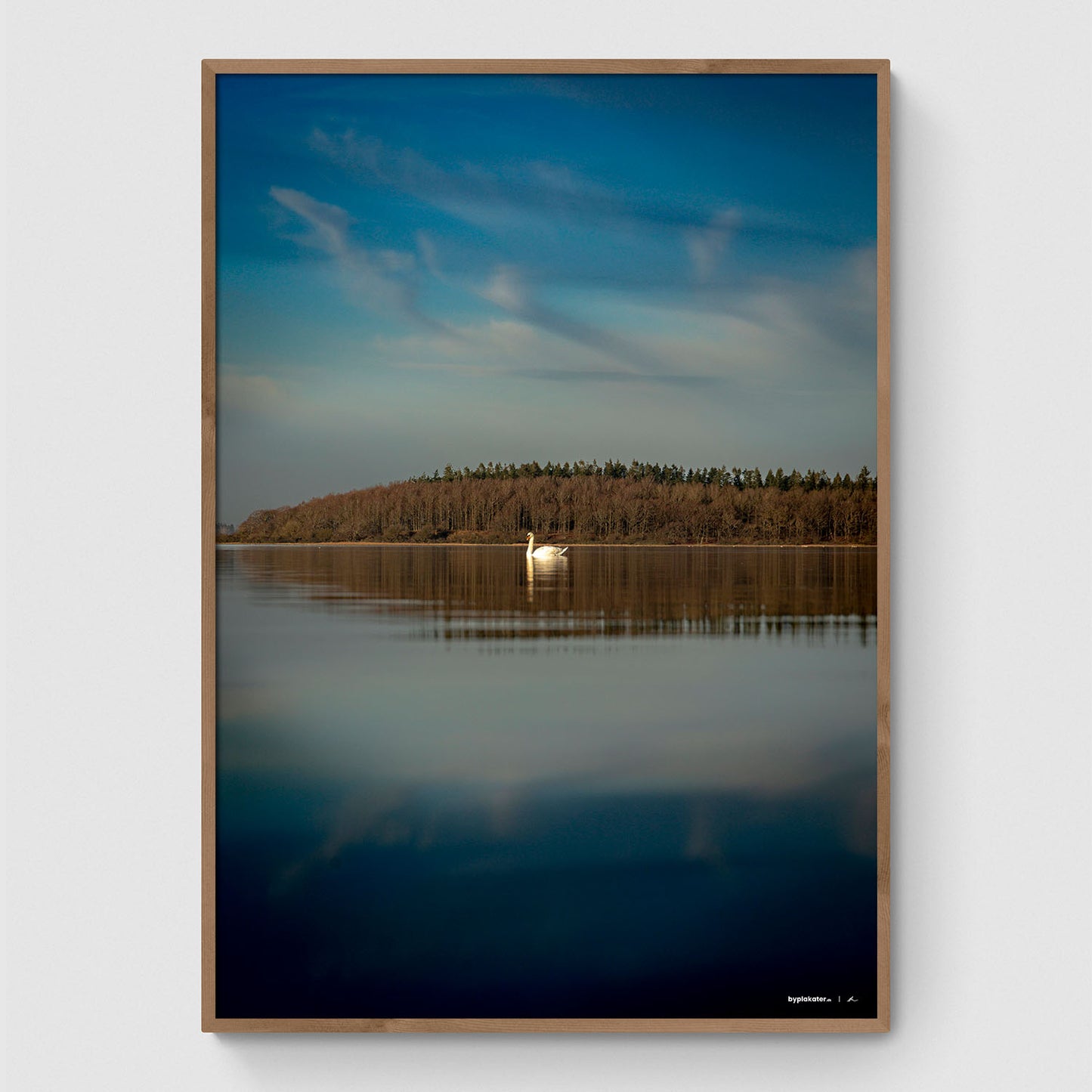 Svane ved Herslev Strand II