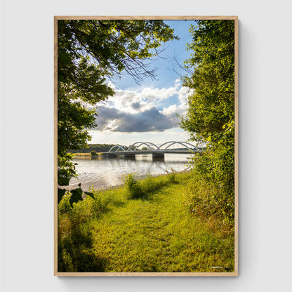 Munkholmbrücke durch die Bäume II
