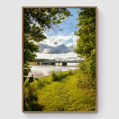 Munkholmbrücke durch die Bäume II