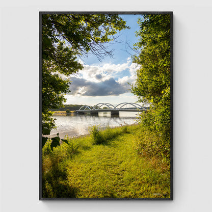 Munkholmbrücke durch die Bäume II