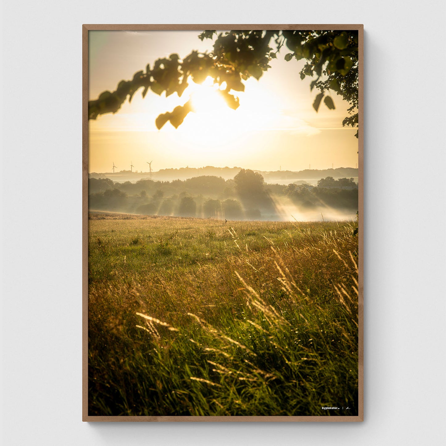 Morgendis over markerne I