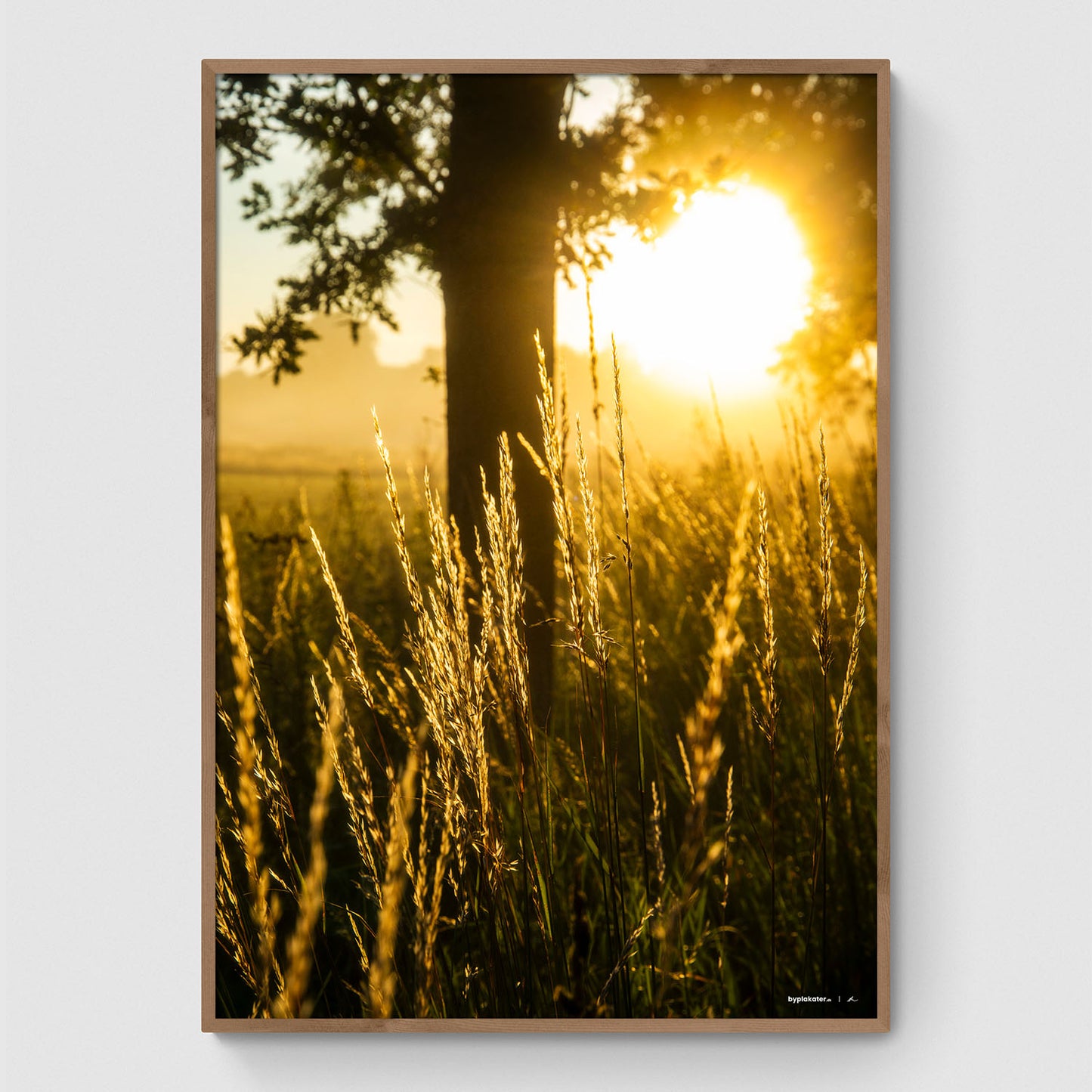 Solopgang langs Ledreborg Allé