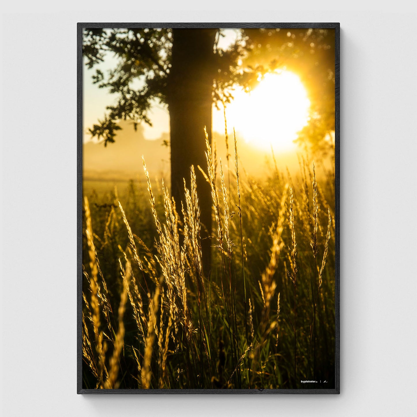 Solopgang langs Ledreborg Allé