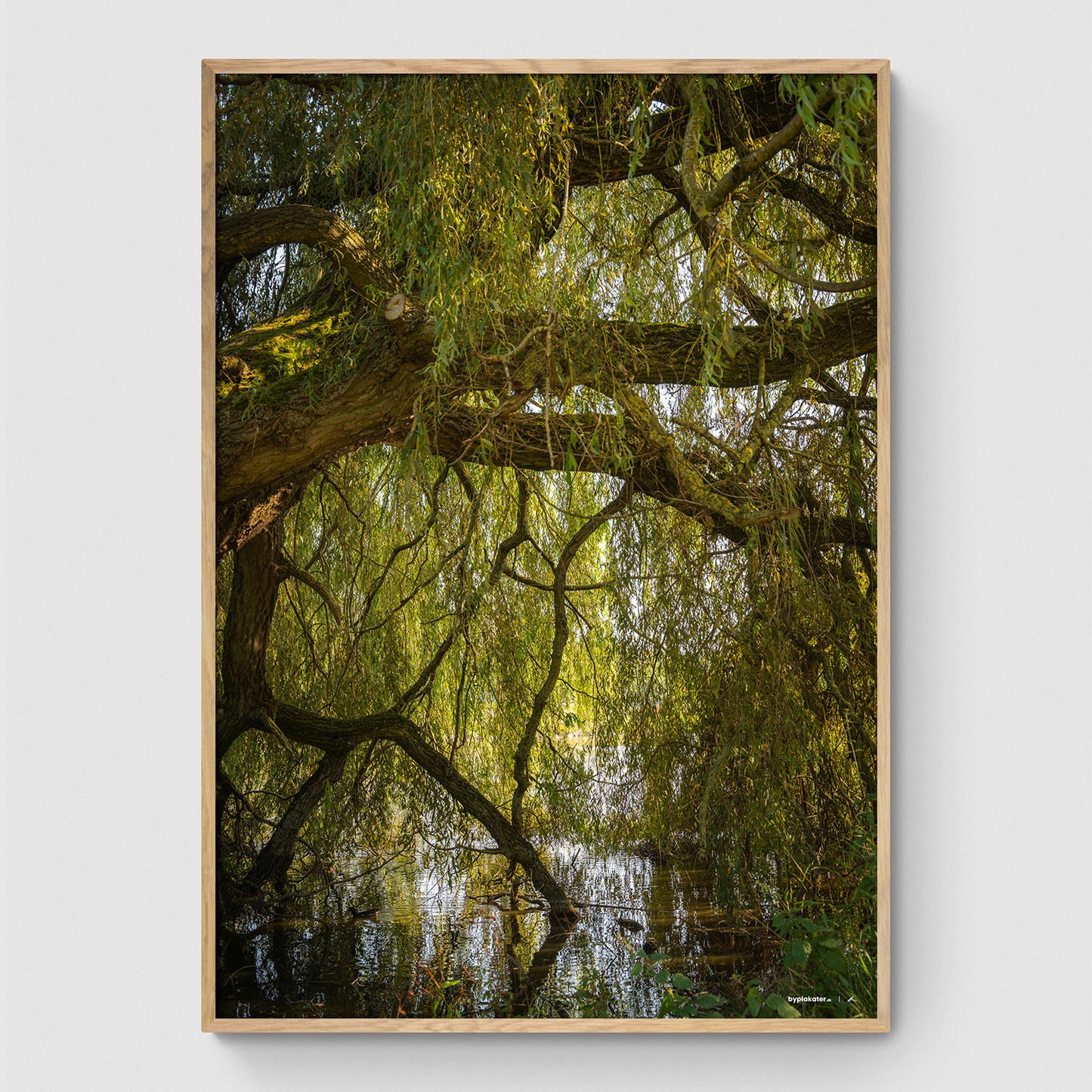 Træ i søen i anlægget