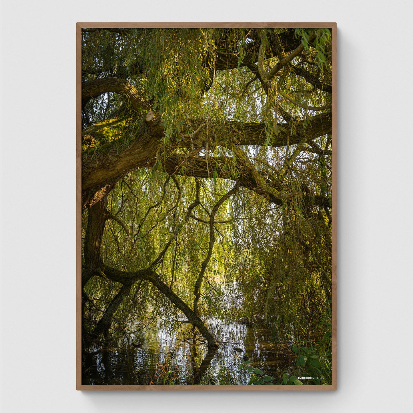 Træ i søen i anlægget