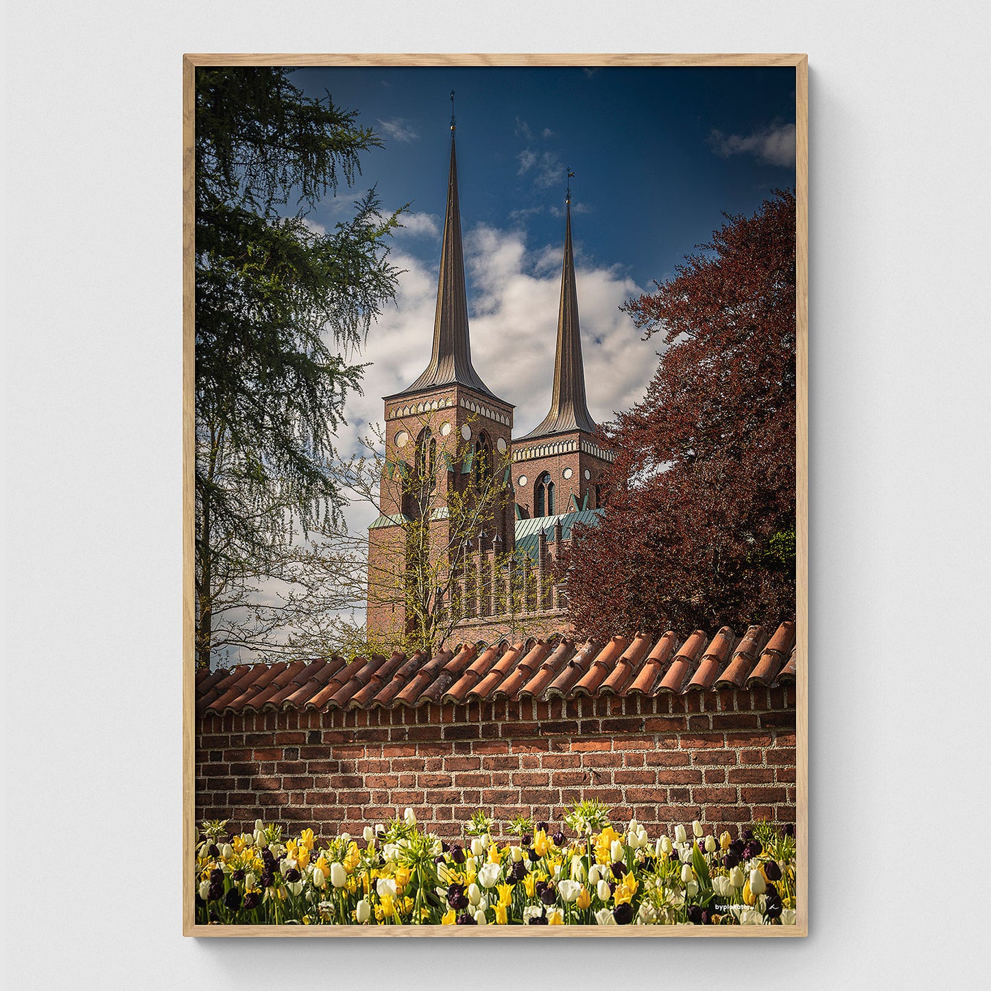 Roskilde Domkirke von Palæbedet
