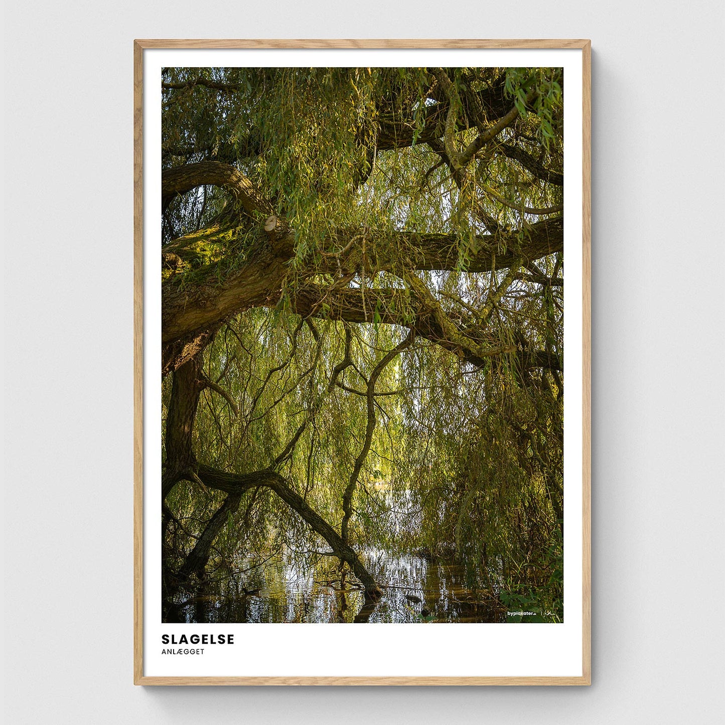 Træ i søen i anlægget