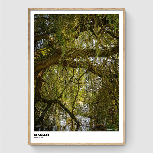 Træ i søen i anlægget