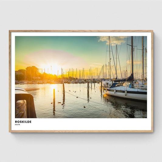 Sommeraften på Roskilde Havn